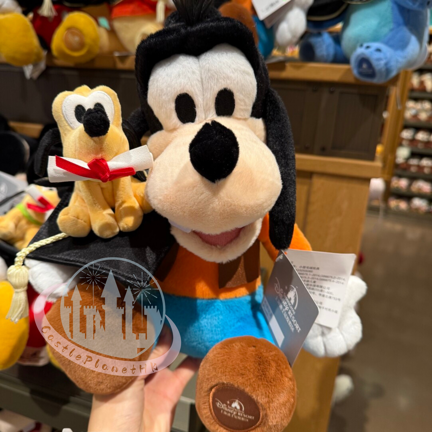 "Pre-Order" SHDR - Goofy Graduation Plush