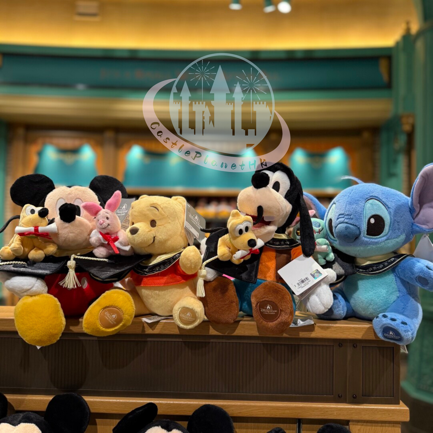 "Pre-Order" SHDR - Winnie the Pooh Graduation Plush