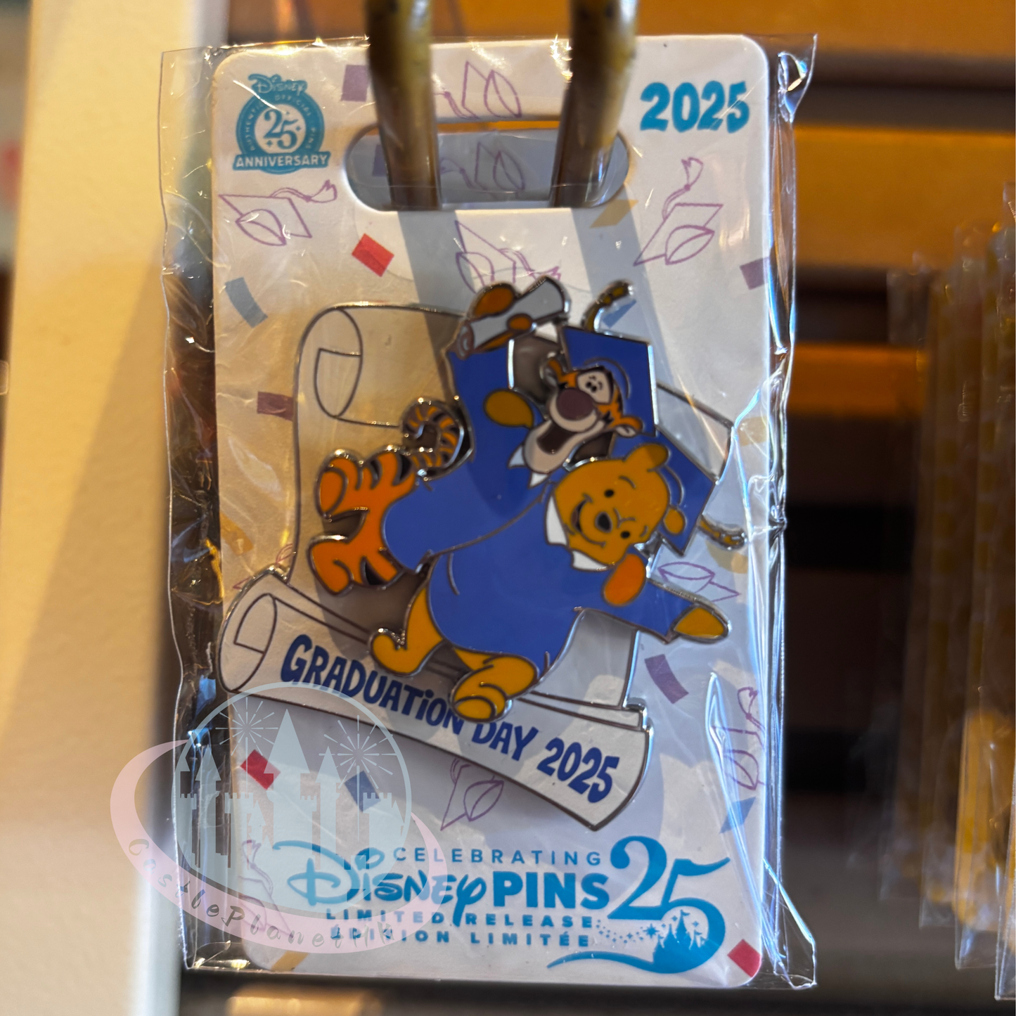 "Pre-Order" HKDL - Winnie the Pooh and Tigger Limited Release Graduation Day 2025 Pin
