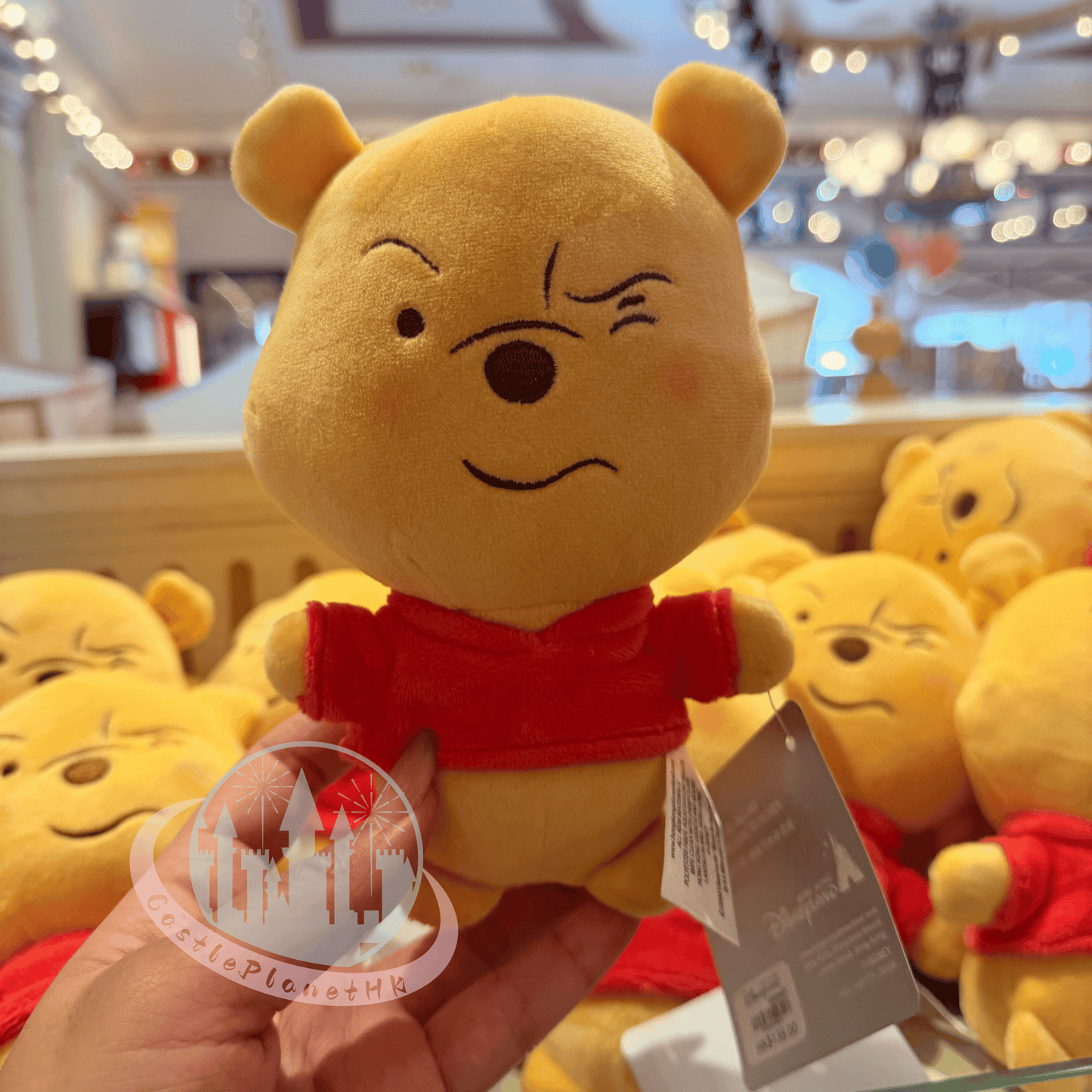 "Pre-Order" HKDL - Winnie the Pooh Plush Toy, Smirking 2026