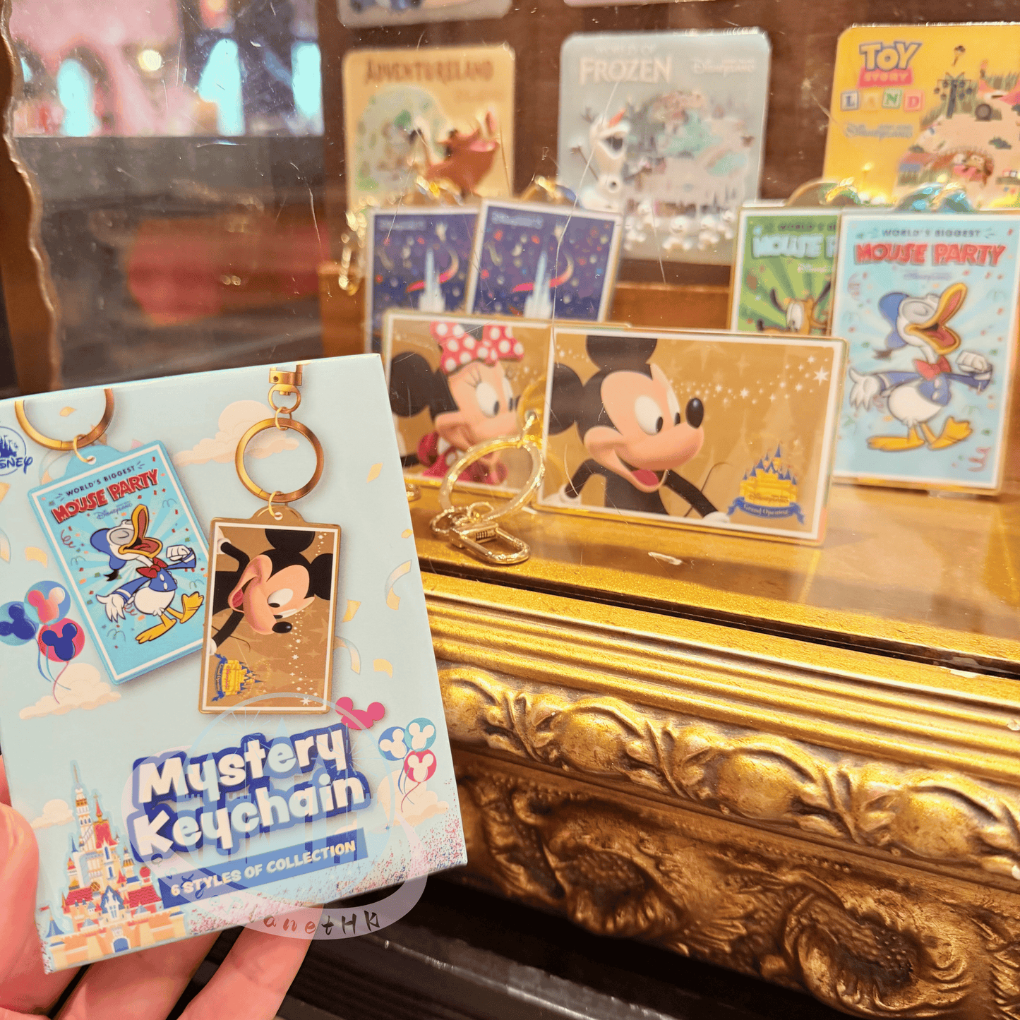 "Pre-Order" HKDL - Park Admission Tickets Keychain Blind Box