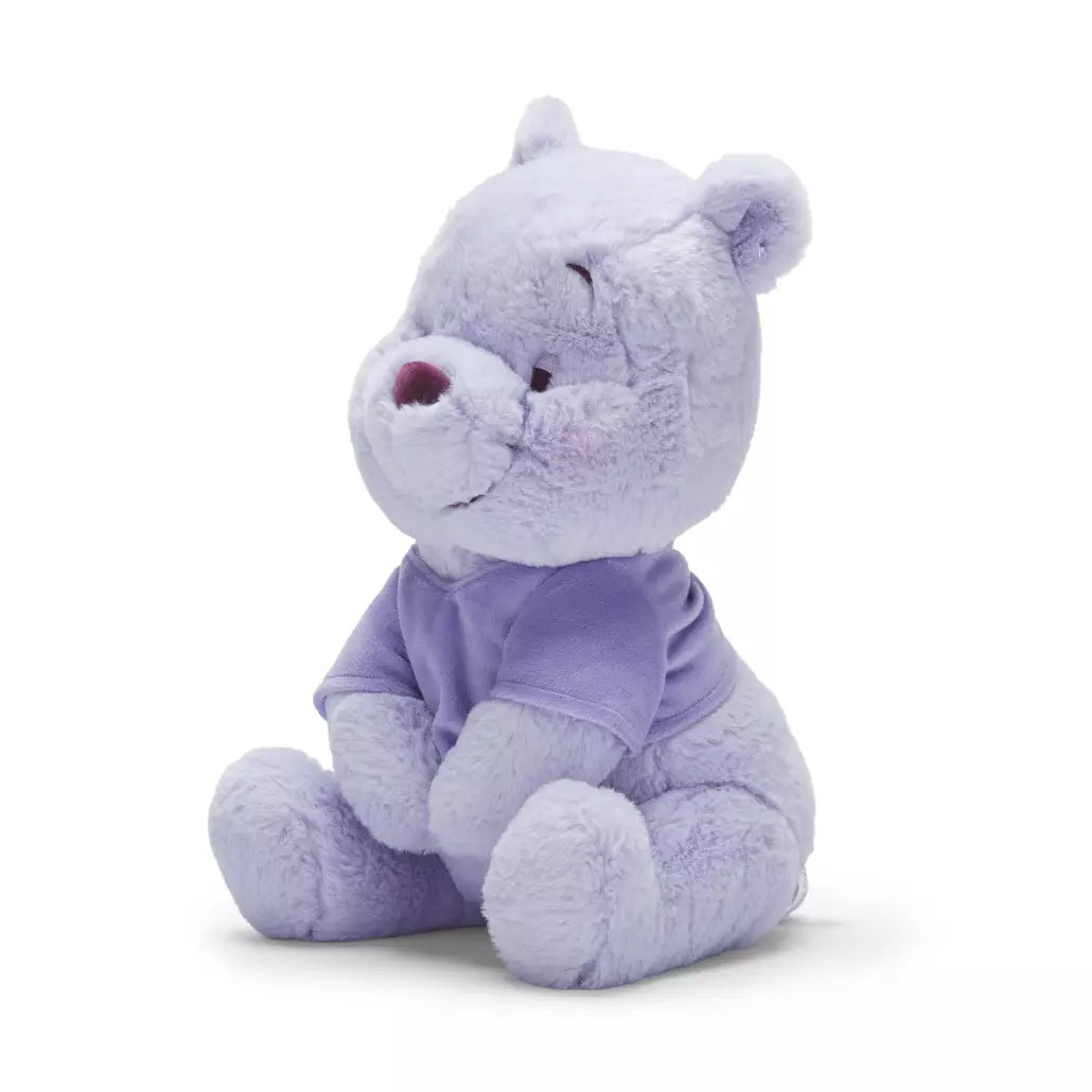 "Pre-Order" HKDL - Winnie the Pooh Colourburst Medium Plush