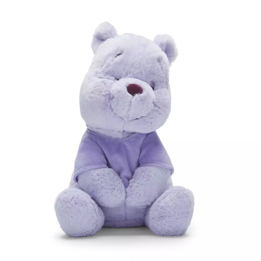 "Pre-Order" HKDL - Winnie the Pooh Colourburst Medium Plush