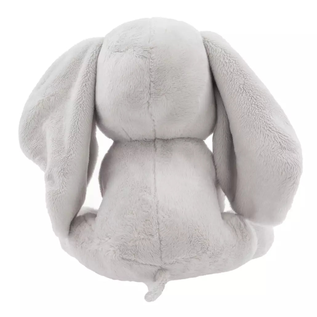 "Pre-Order" HKDL - Dumbo 2024 Small Plush for Baby