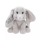 "Pre-Order" HKDL - Dumbo 2024 Small Plush for Baby