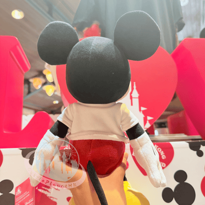 "Pre-Order" HKDL - Mickey Plush Toys, Love Hong Kong Disneyland 2026