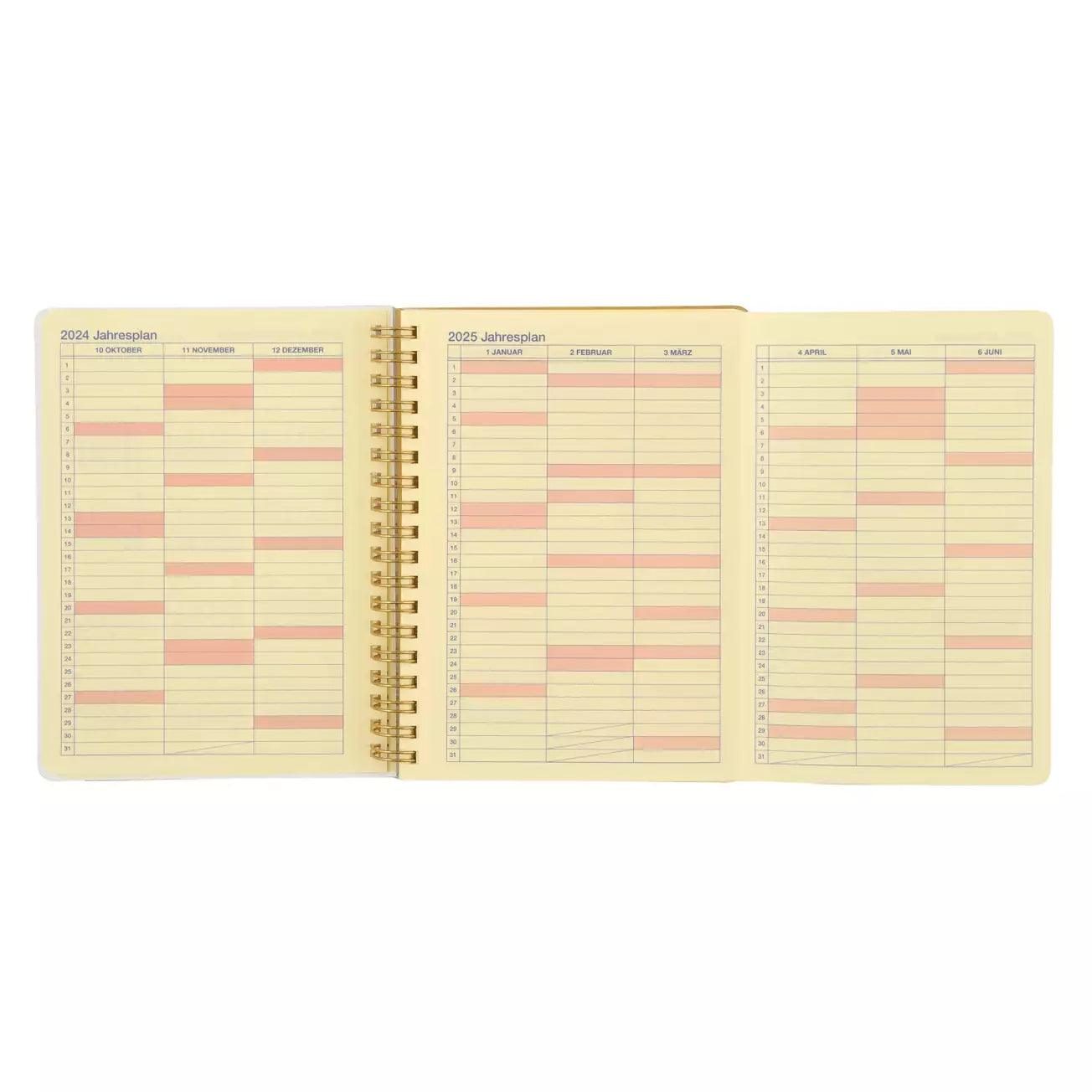 "Pre-Order" JDS - Calendar & Organizer 2025 - Pooh and Friends Rollbahn Planner/Schedule Book (L)