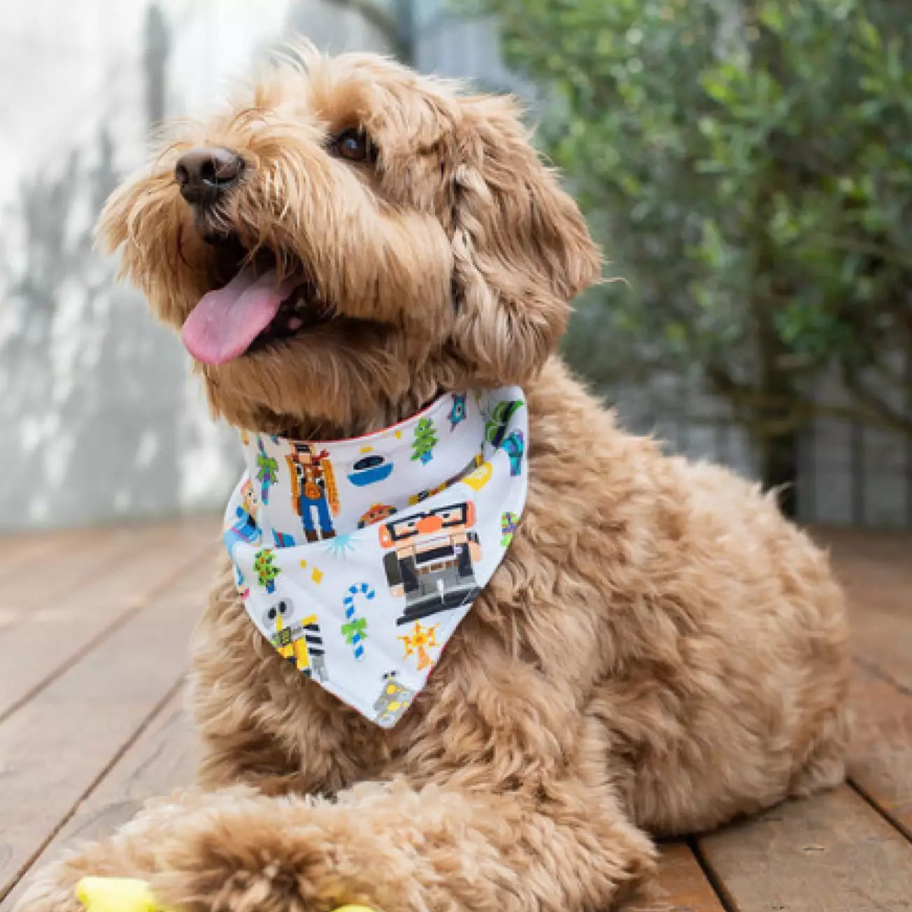 Dog holiday bandana 2024 set