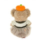 "Pre-Order" HKDL - ShellieMay Plush (Duffy & Friends - 2024 Halloween Collection)